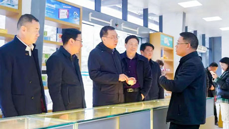 依法服务保障企业更好发展，陇南中院院长万建军赴独一味制药调研指导
